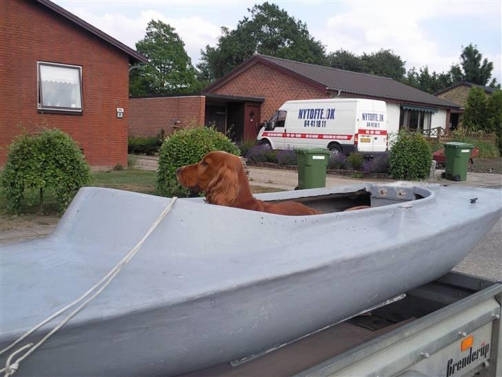 Jagt mopa lll Dolfin billede 7