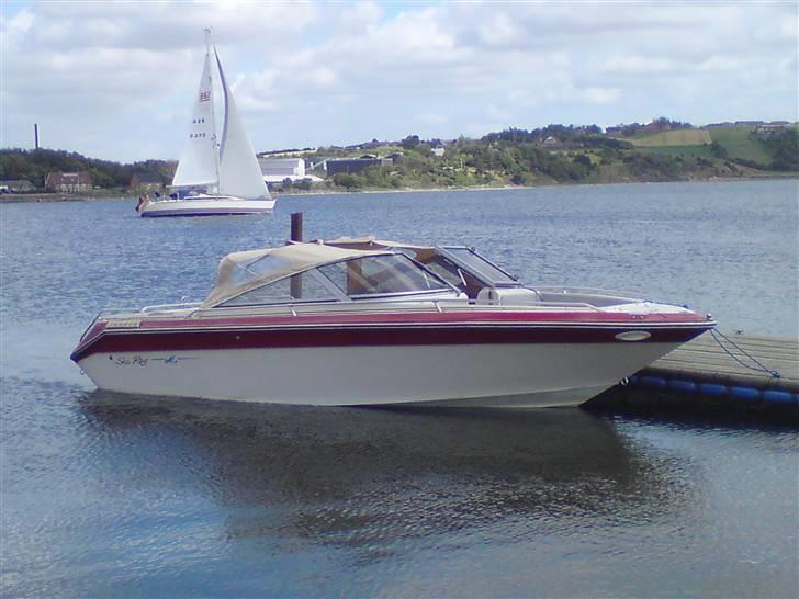 Sea Ray Sorrento 210 billede 1
