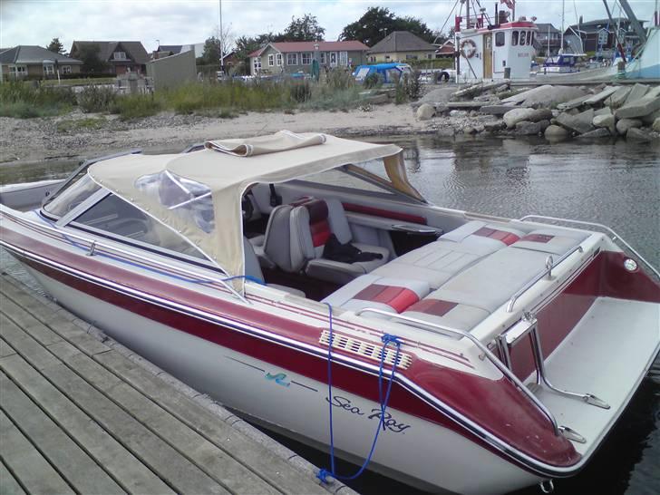 Sea Ray Sorrento 210 billede 3