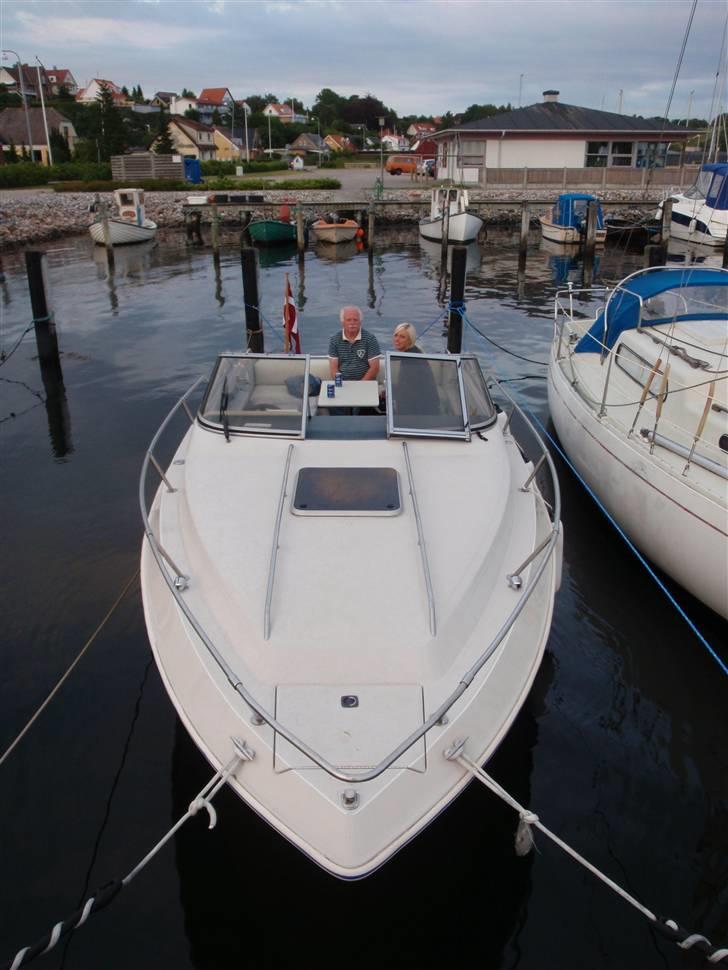 Sea Ray Sorrento billede 1