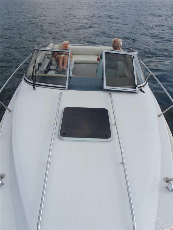 Sea Ray Sorrento billede 2