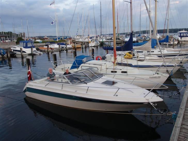 Sea Ray Sorrento billede 3