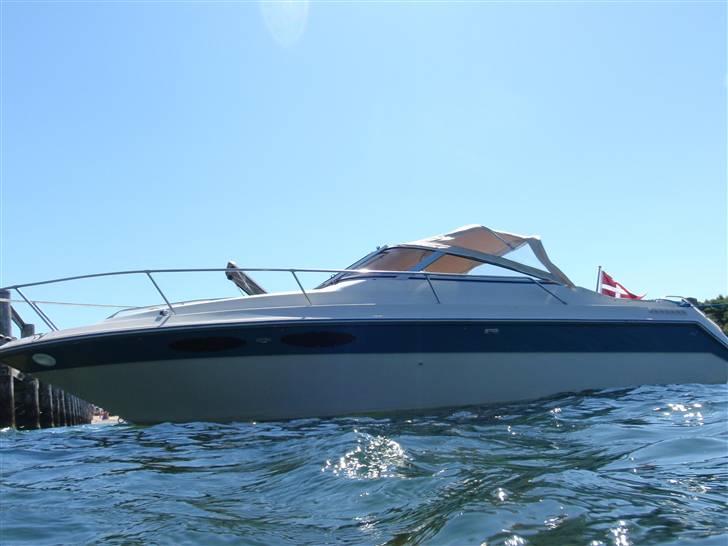 Sea Ray Sorrento billede 4
