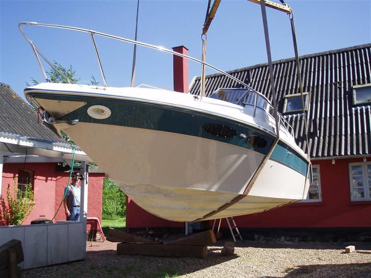 Sea Ray Sorrento billede 5