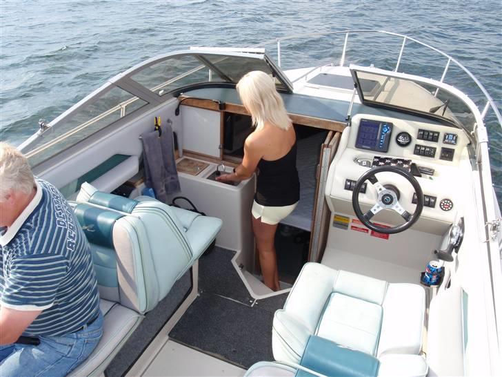 Sea Ray Sorrento billede 9