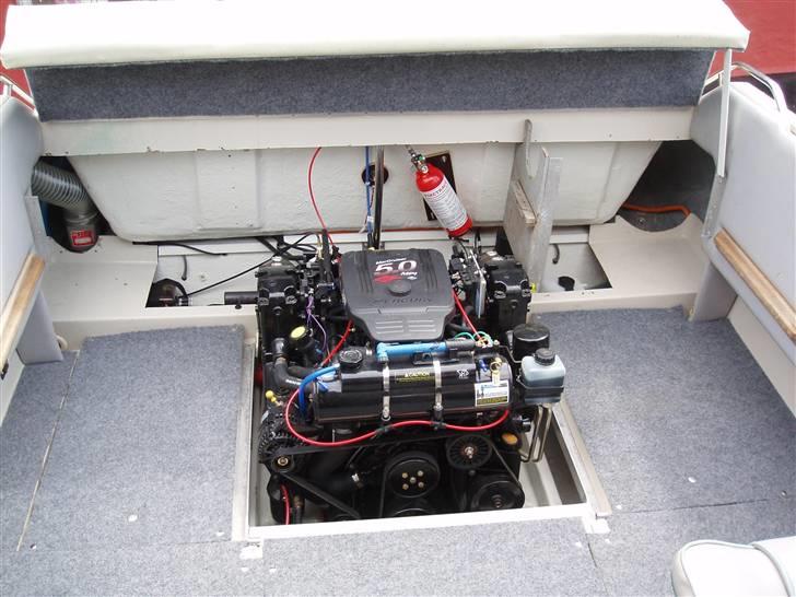 Sea Ray Sorrento billede 13