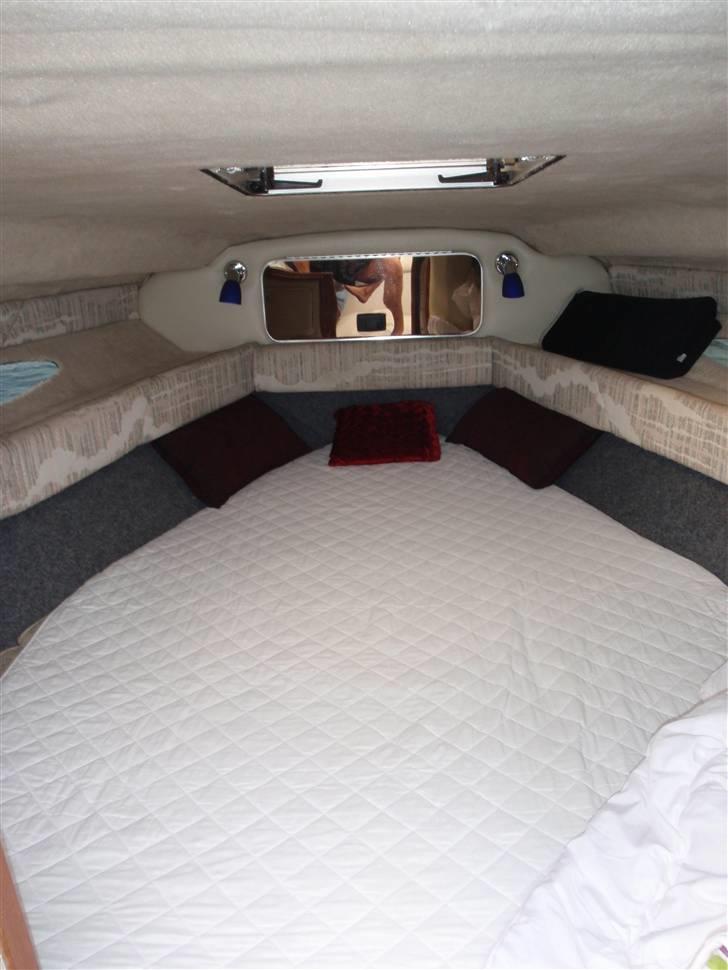 Sea Ray Sorrento billede 16