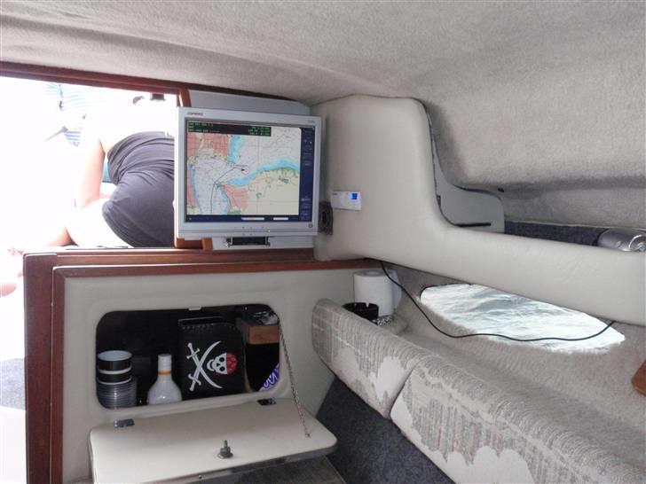 Sea Ray Sorrento billede 19