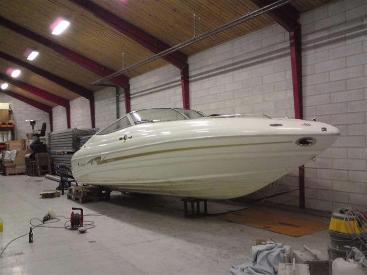 Mariah Z 250 billede 15