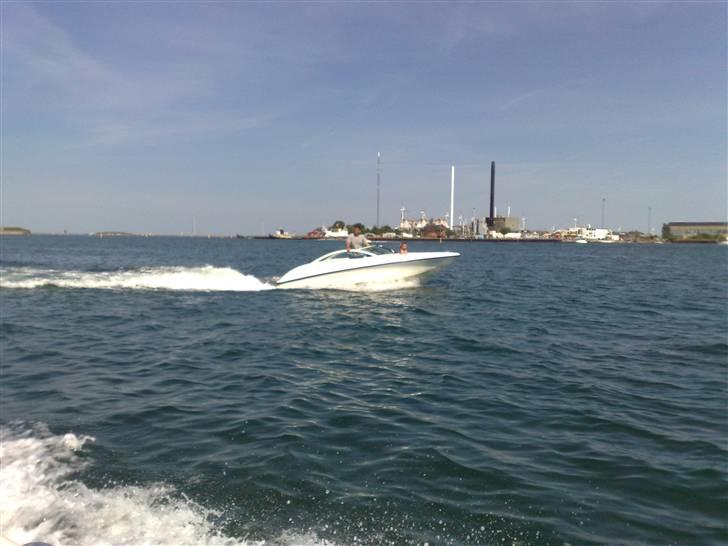 Celebrity speedbåd billede 11