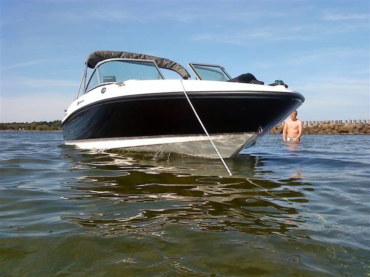 Maxum 1800 MX##SOLGT## billede 6