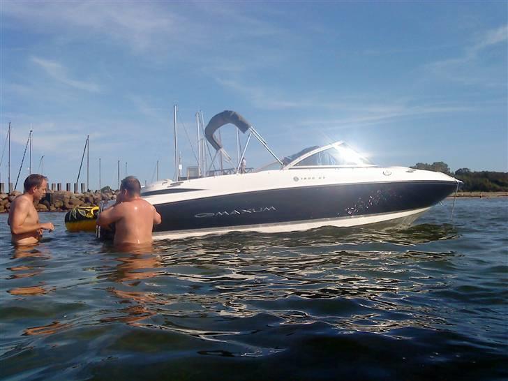 Maxum 1800 MX##SOLGT## billede 10