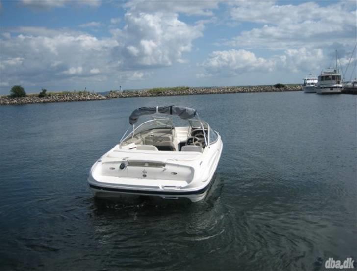 Bayliner 1850 SS capri billede 4