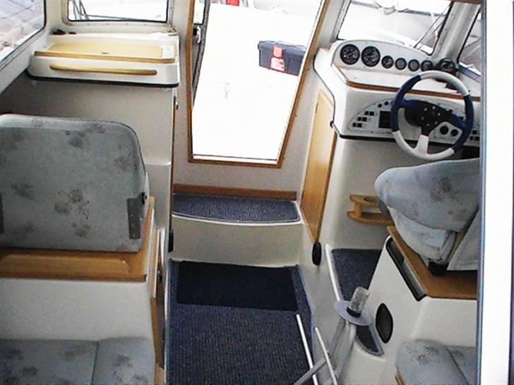 X TG King Cruiser billede 5