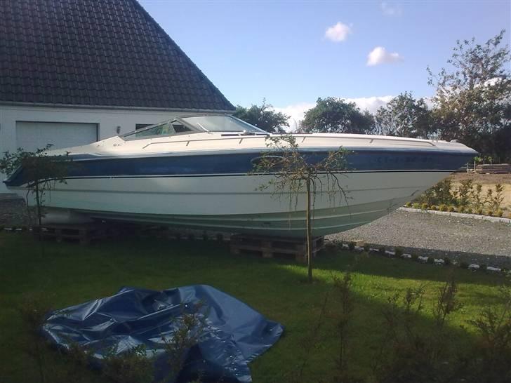 Chaparral 2550 sport billede 8