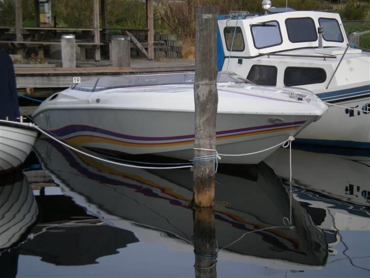 Baja Bandit II billede 1
