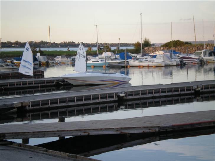 Baja Bandit II billede 4