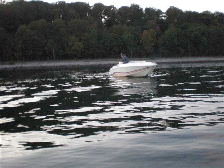 Baja Bandit II billede 8