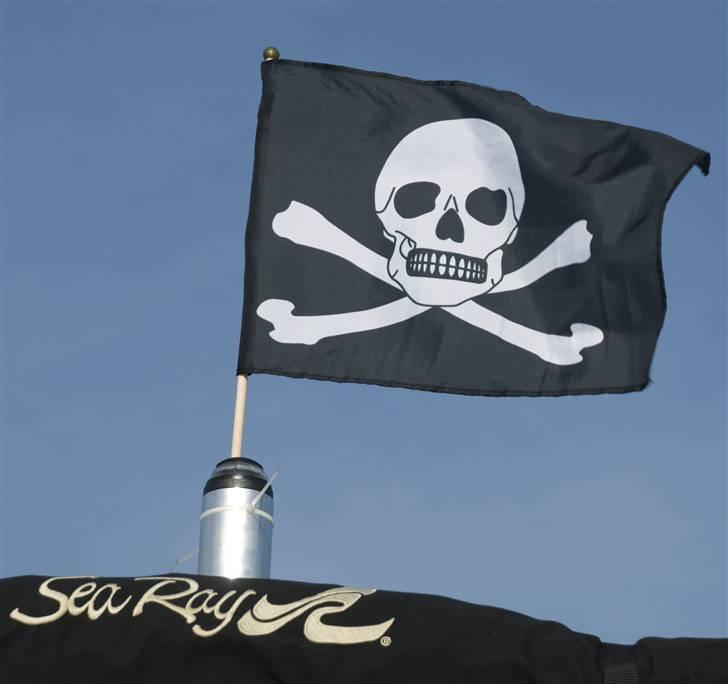 Sea Ray 185 Sport 4,3 MPI billede 11