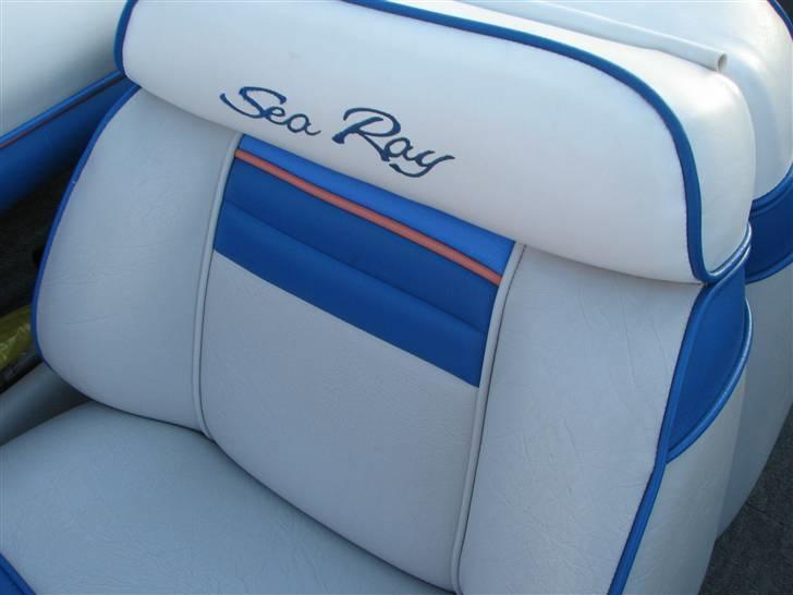 Sea Ray Sr 200 billede 12