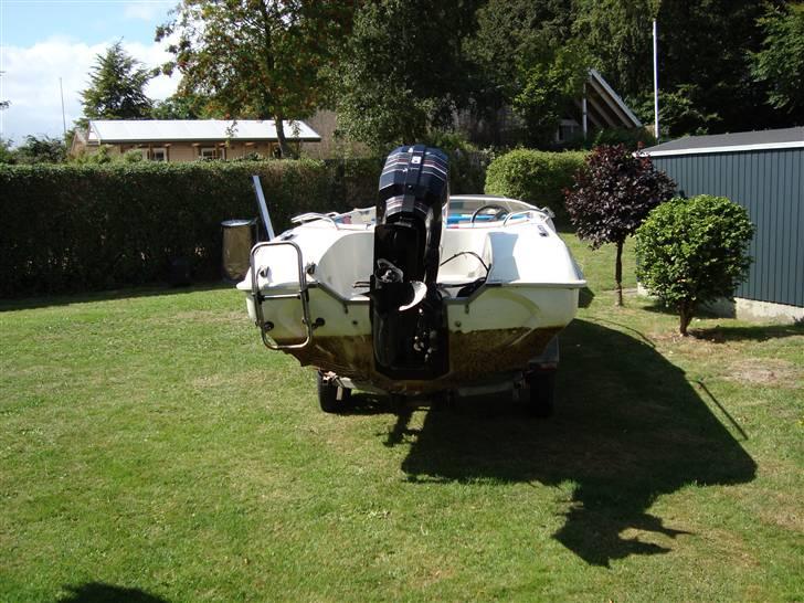 Mustang summer sport billede 3