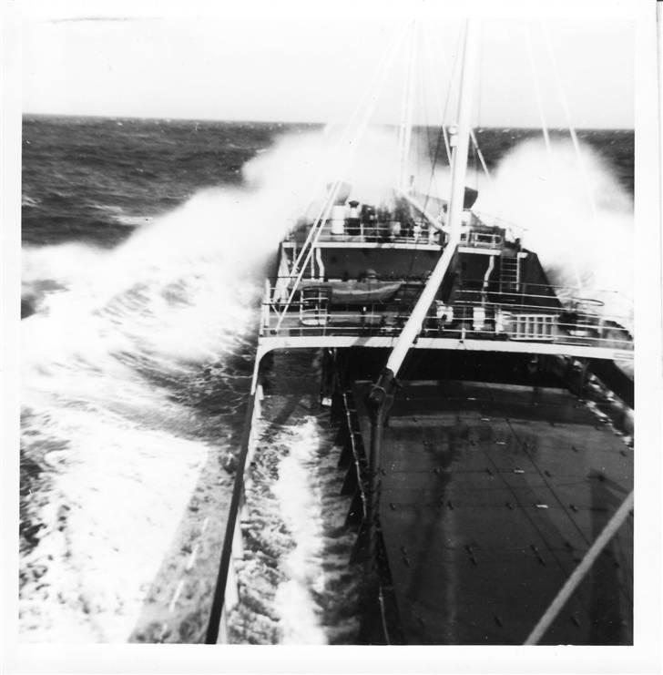 Ryds 390 - m.s Marie Helleskov billede 4