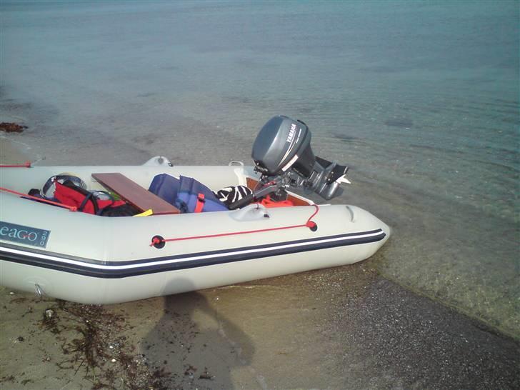 X seago 290 - lige trukket båden op på stranden  billede 1