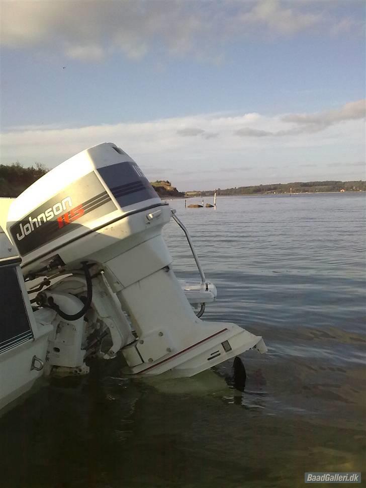 Bayliner 1952 Capri billede 3