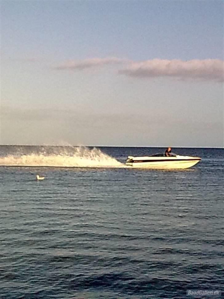 Bayliner 1952 Capri billede 4