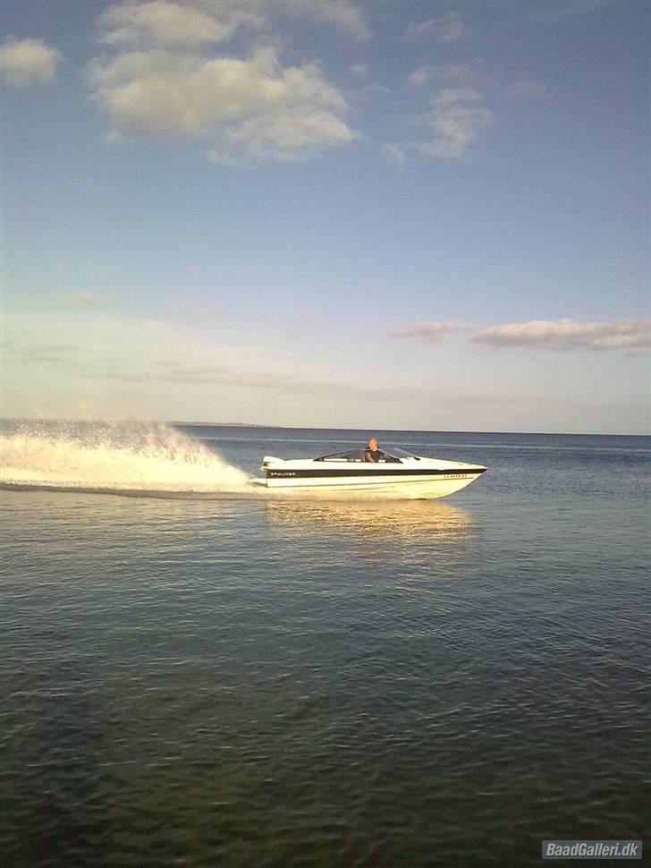 Bayliner 1952 Capri billede 5