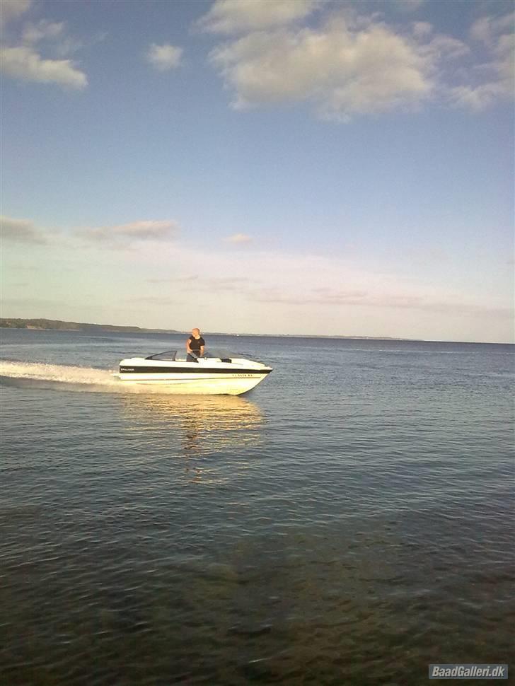 Bayliner 1952 Capri billede 6