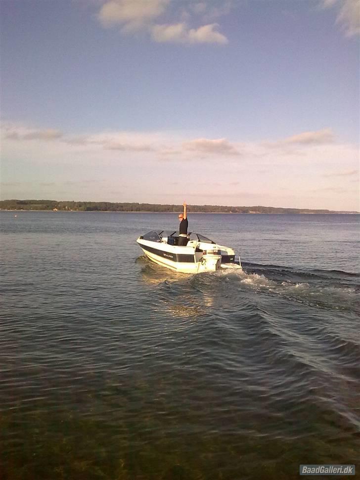 Bayliner 1952 Capri billede 7