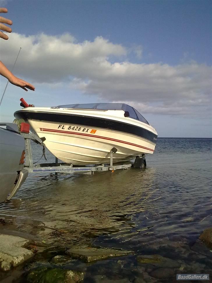 Bayliner 1952 Capri billede 11