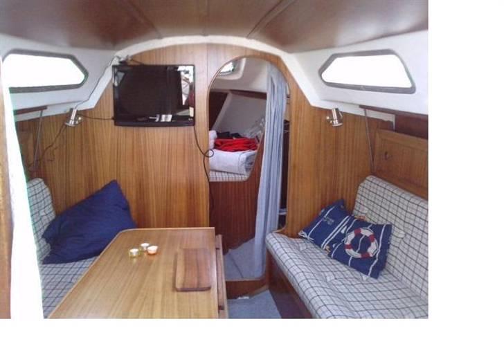 Impala 27 SOLGT billede 4
