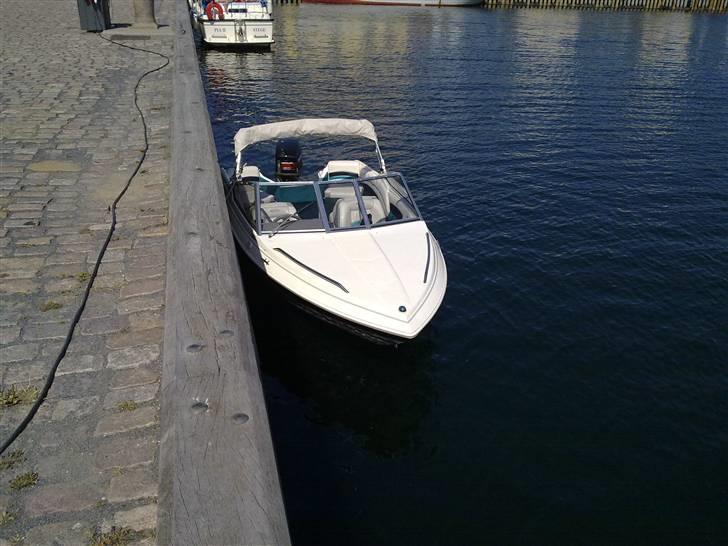 Campion Allante 485 billede 6