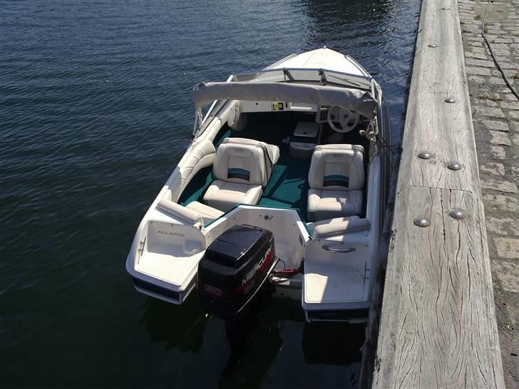 Campion Allante 485 billede 7