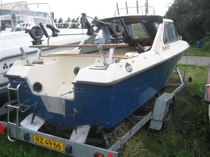 Labrador 13,6 SOLGT billede 16