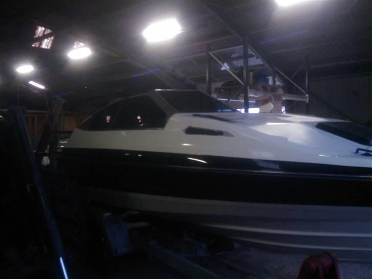 Bayliner 212 carpi. billede 19