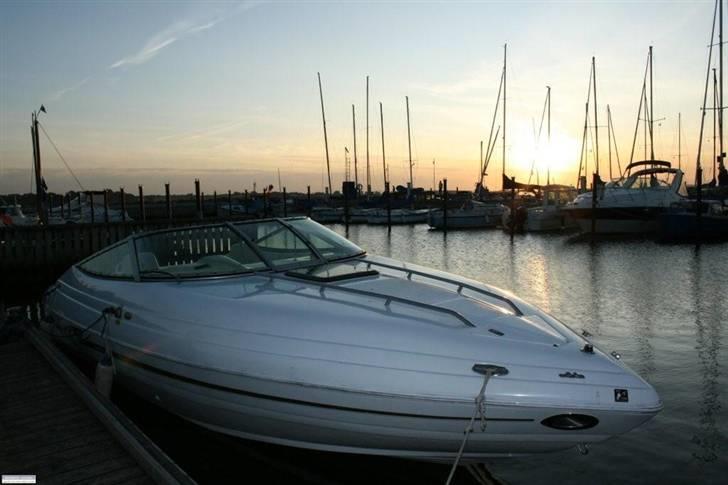 Mariah Z 250 billede 19