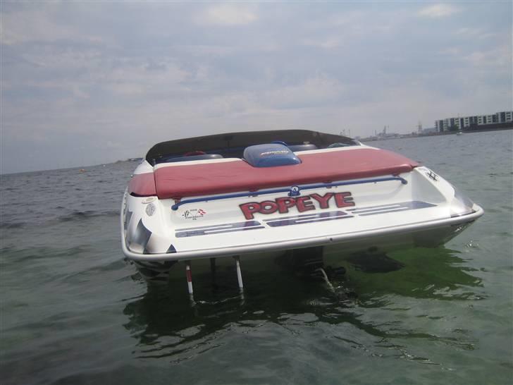 Baja bandit 600sc billede 12