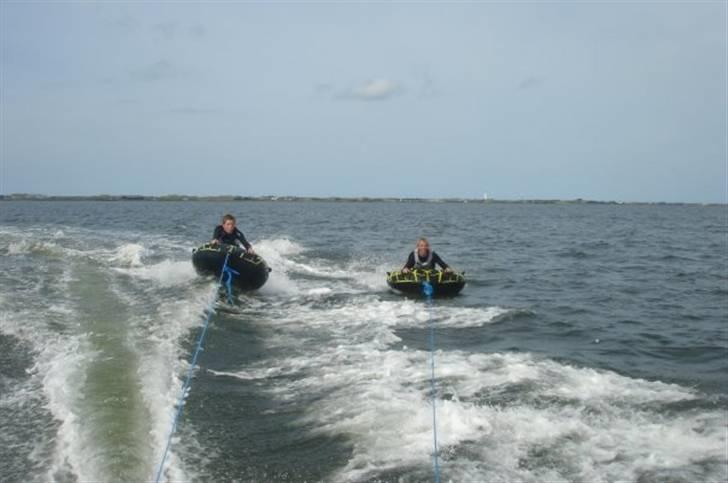Askeladen 445 Hunter billede 15