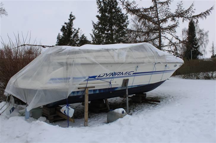 Scand 8600 Dynamic - Båden til vinteropbevaring i haven. billede 14