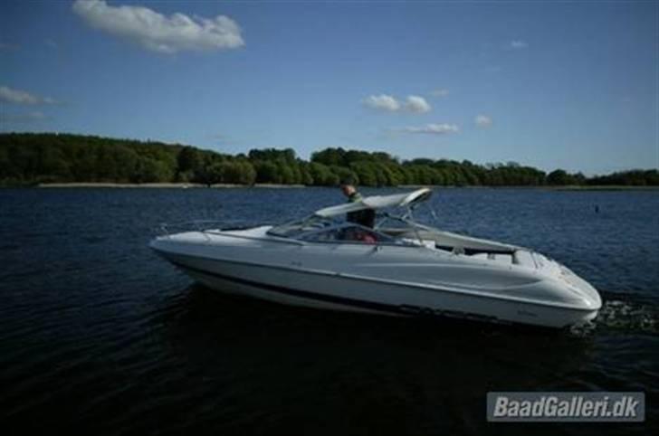 Wellcraft EXCEL 21 SL *SOLGT* billede 2