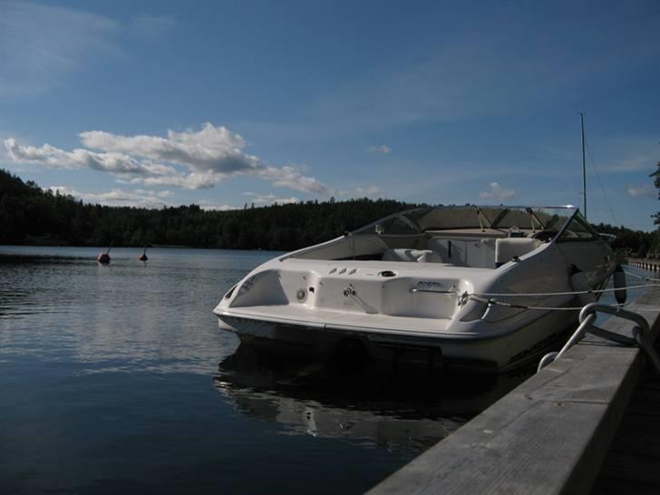 Wellcraft EXCEL 21 SL *SOLGT* billede 10