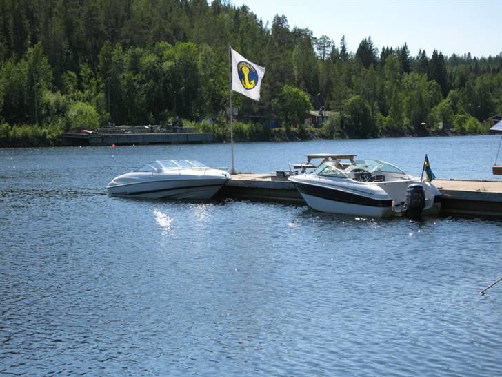 Wellcraft EXCEL 21 SL *SOLGT* billede 12
