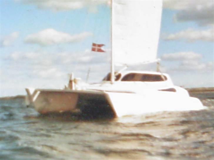 Flerskrogsbåd costum 36 billede 4