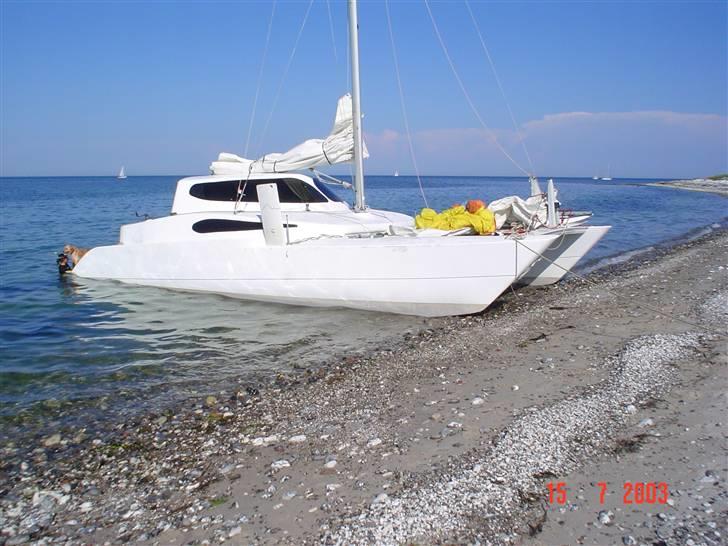 Flerskrogsbåd costum 36 billede 5