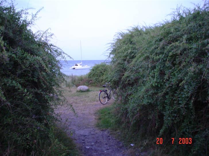 Flerskrogsbåd costum 36 billede 6