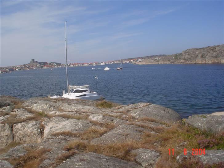 Flerskrogsbåd costum 36 billede 7