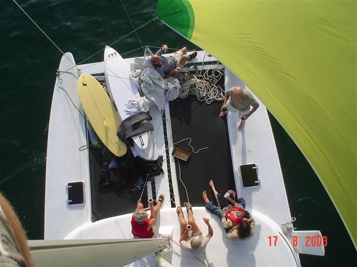 Flerskrogsbåd costum 36 billede 9